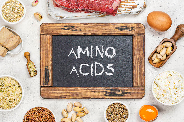 Nutrition: Amino Acids