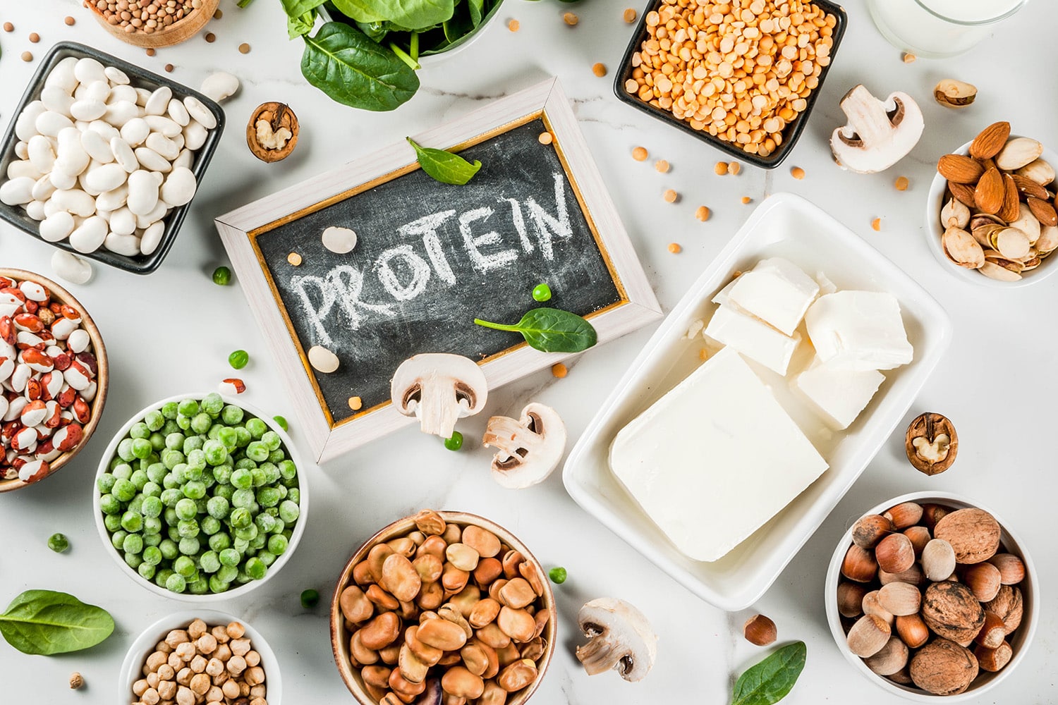 Nutrition: Protein